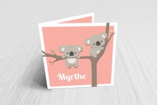 Kleine koalabeertjes